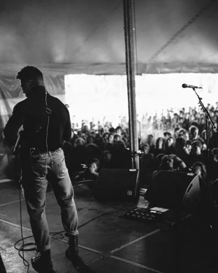 Bearly Dead - Grateful Dead Tribute