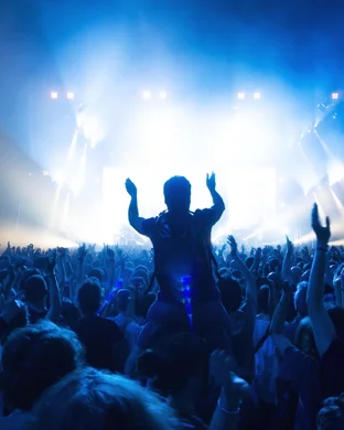 Tom Hamilton Portland