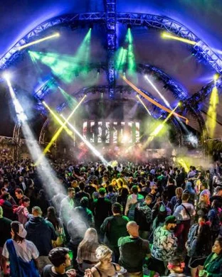 Flamingosis Portland