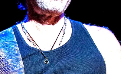 Al Di Meola
