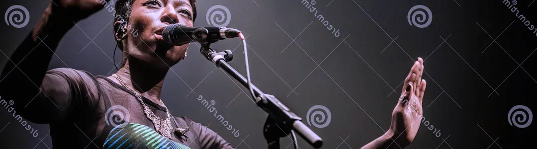 Bonobo