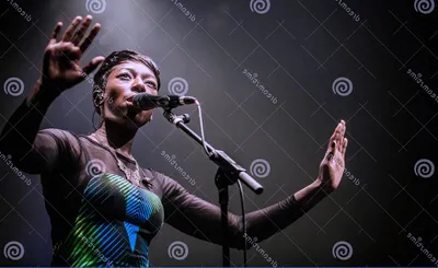 Bonobo