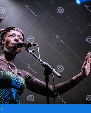 Bonobo