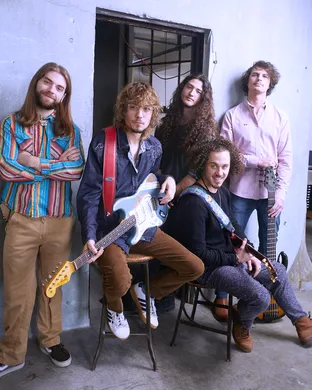 Dogs In A Pile Portland