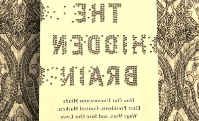 Hidden Brain Live: Shankar Vedantam