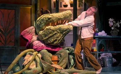 Little Shop Of Horrors
