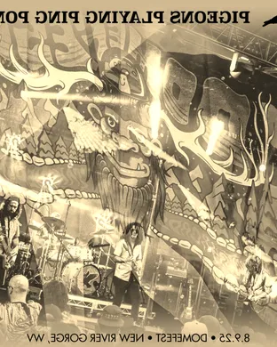 Pigeons Playing Ping Pong