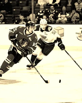 Portland Winterhawks vs. Prince George Cougars