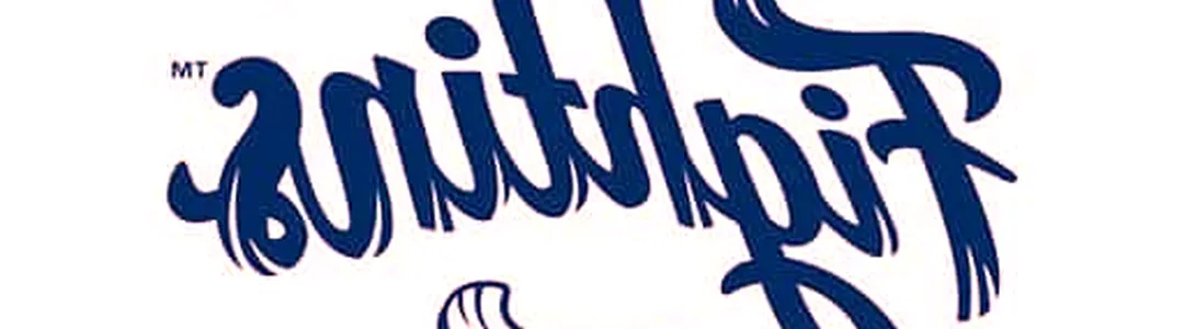 Reading Fightin Phils