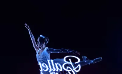 Sleeping Beauty in a Sparkling Show