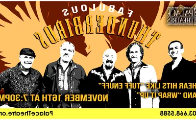 The Fabulous Thunderbirds