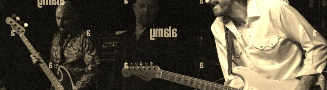 The Fabulous Thunderbirds