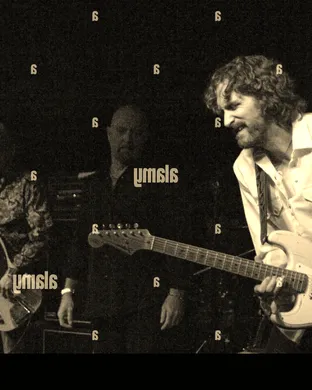 The Fabulous Thunderbirds