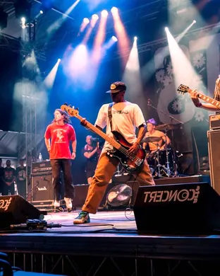 Live concert by Turnstile