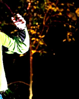 Wild Kratts - Live Portland