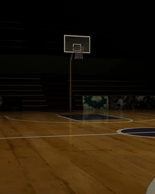 Maine Celtics vs. Westchester Knicks