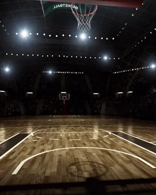 Maine Celtics vs. Windy City Bulls